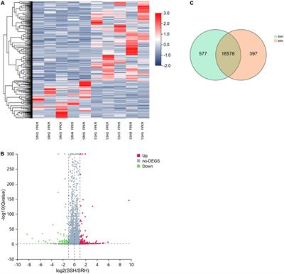 Identification of biomarkers, pathways and potential therapeutic agents for salt-sensitive hypertension using RNA-seq